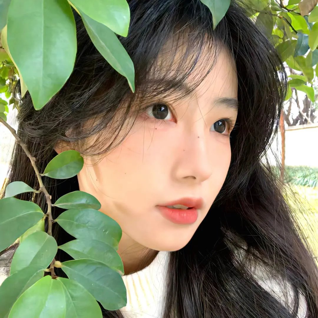 圣兽